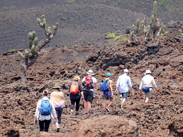Galapagos island hopping tailor made holiday
