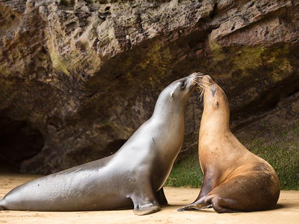 Galapagos island hopping tailor made holiday