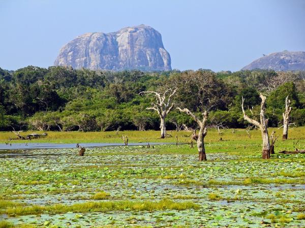 Sri Lanka luxury wildlife holiday