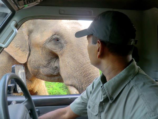 Sri Lanka luxury wildlife holiday
