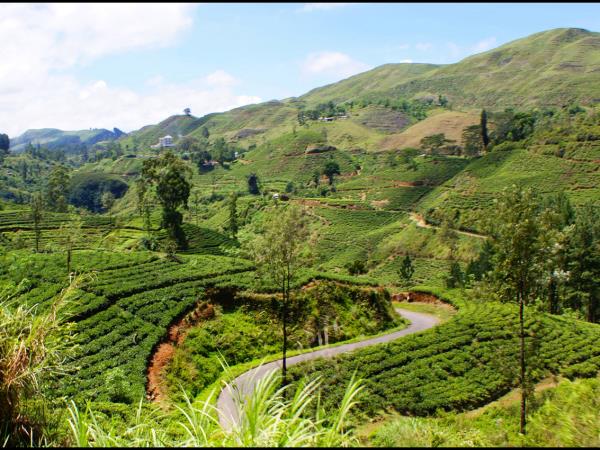 Sri Lanka luxury wildlife holiday