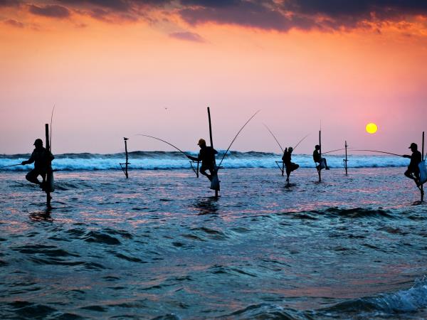 Sri Lanka luxury cultural & wildlife tour