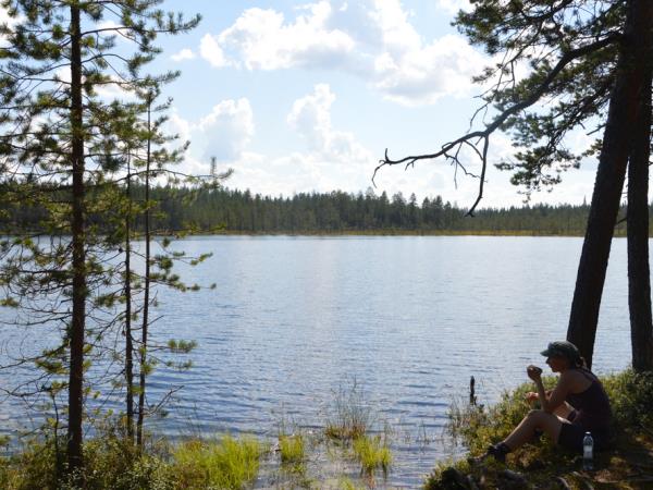 Wild Taiga self drive holiday in Finland, Finnish NP