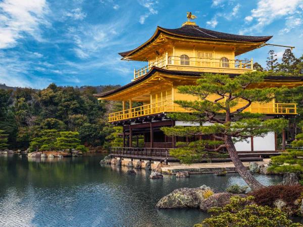Japan art and food tour, tailor made
