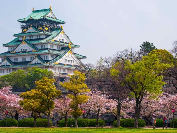 Japan art and food tour, tailor made