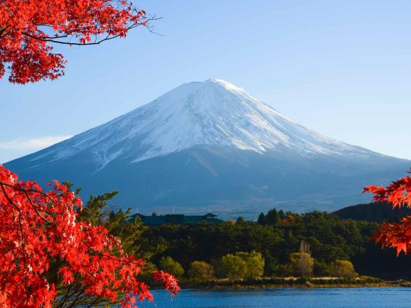 Japan luxury highlights tour