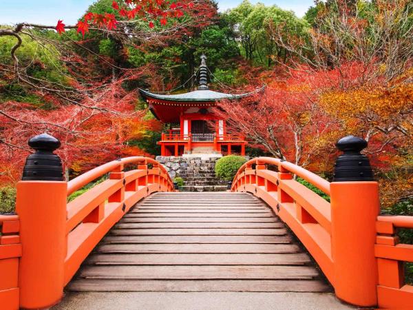 Japan luxury highlights tour