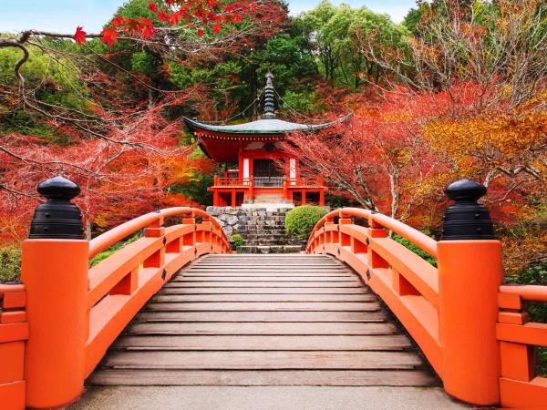 Japan luxury highlights Responsible Travel