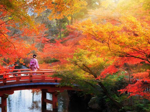 Japan Luxury Honeymoon 14 Days Helping Dreamers Do - 