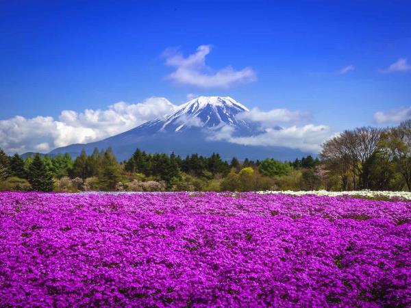 Rural Japan 15 day tour