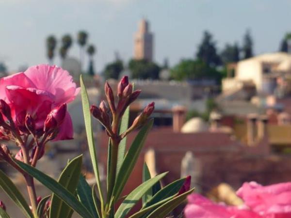 Morocco small group tours