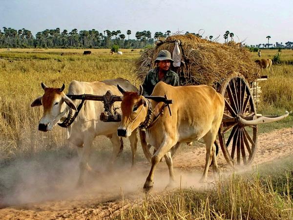 Cambodia holiday, beyond Angkor