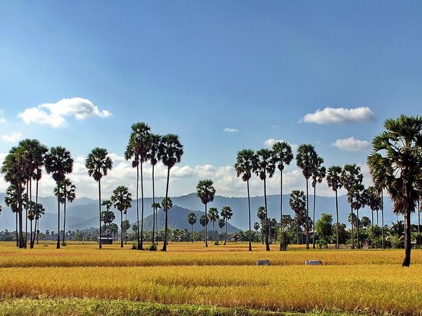 Cambodia holiday, beyond Angkor