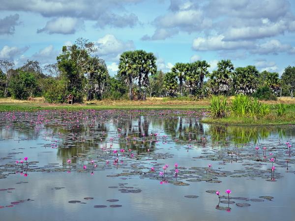 Cambodia highlights tour, 7 days