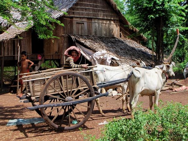 Cambodia holidays, Phnom Penh & Angkor