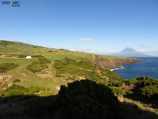 Azores holiday, Faial and Pico