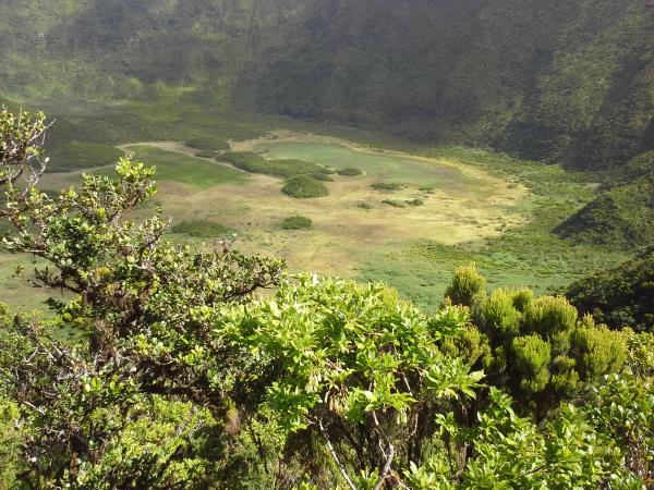 Azores holiday, Faial and Pico
