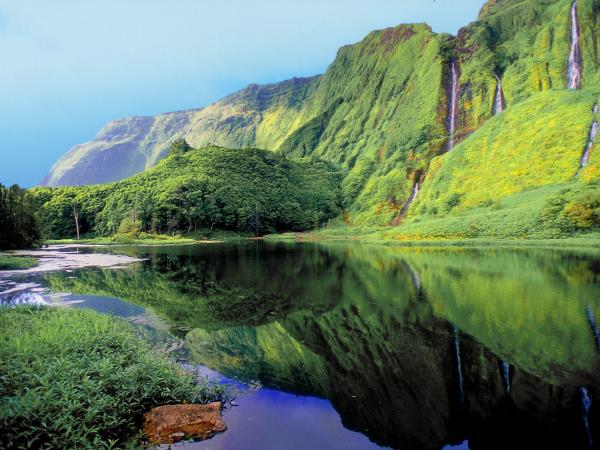 Blue whale Azores family holiday