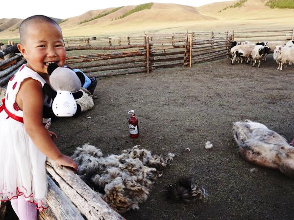 Mongolia cycling tours