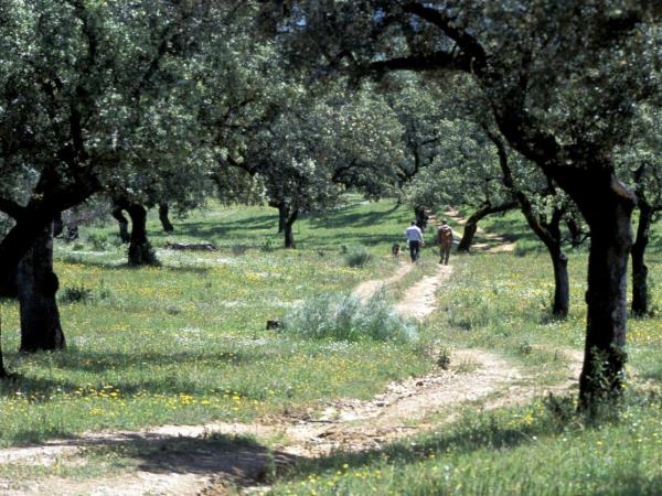 Sierra de Aracena walking and cultural holiday