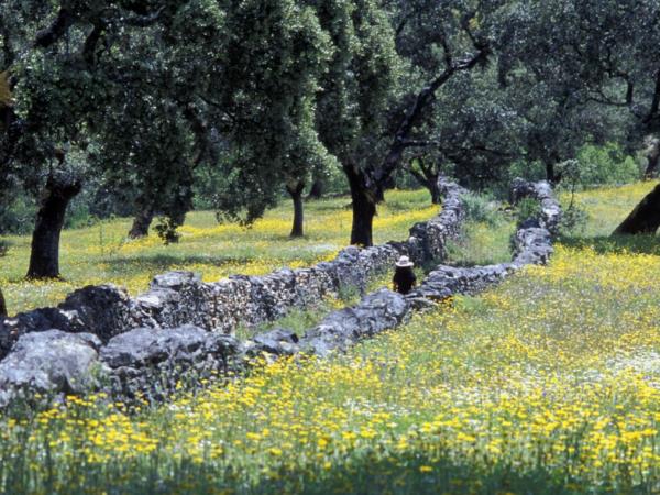 Sierra de Aracena walking and cultural holiday