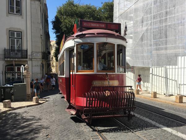 Volunteering in Portugal, fight food waste