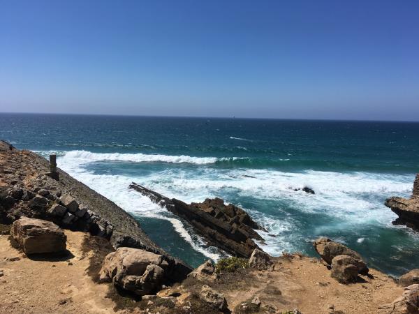 Volunteering in Portugal, fight food waste
