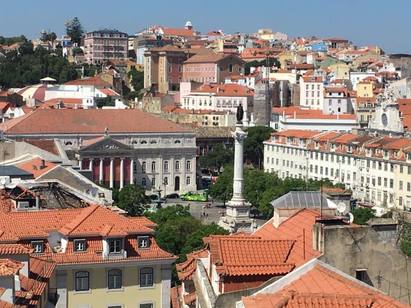 Volunteering in Portugal, fight food waste