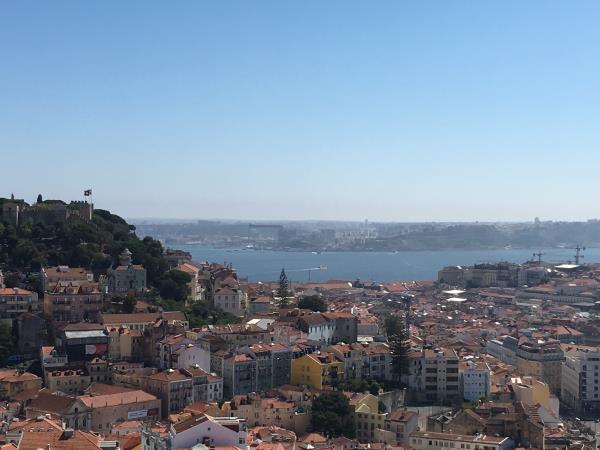 Volunteering in Portugal, fight food waste