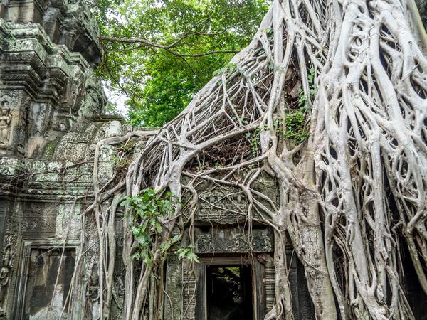 Cambodia family holiday for teenagers