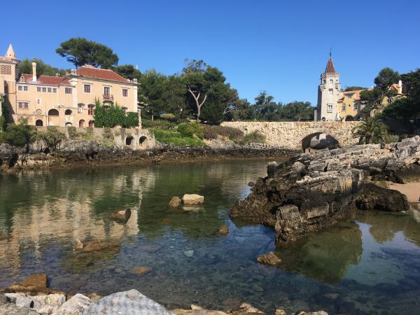 Marine Conservation in Portugal