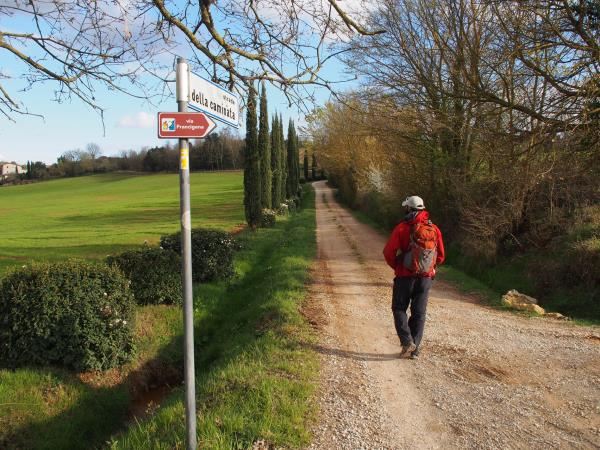 Francigena Way walking holiday, Lucca to Siena