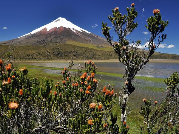 Ecuador and Galapagos tour