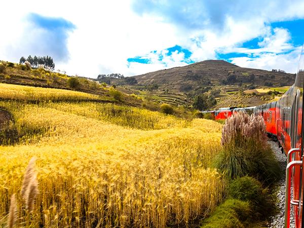 Ecuador and Galapagos tour
