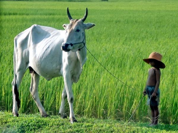 Indochina holiday adventure