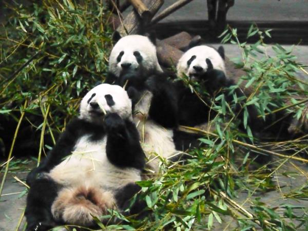 China backpacking tours