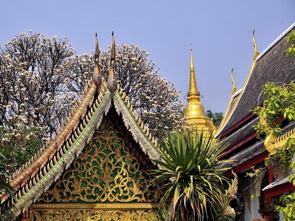 Northern Thailand tour