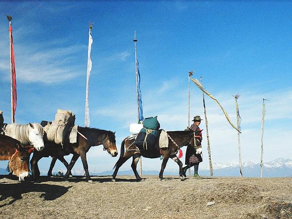 Bhutan highlights tour, 7 days