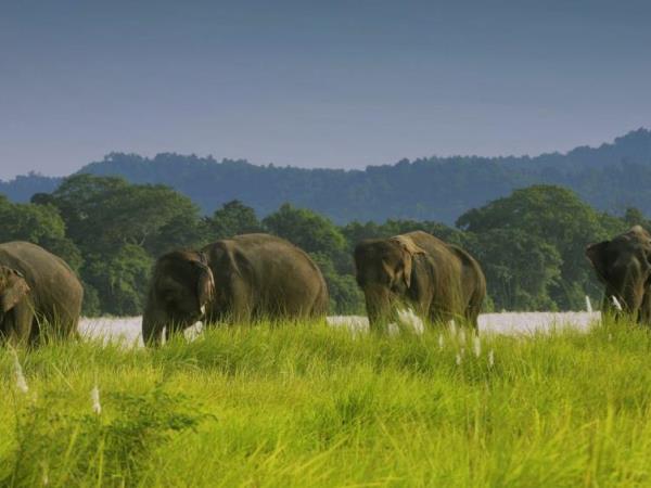 Nepal 8 day highlights tour