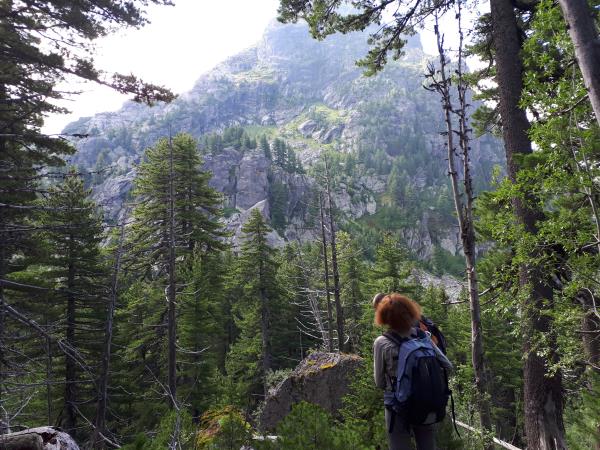 Balkan Lynx wildlife conservation holiday in Montenegro