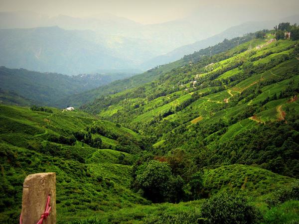 Bengal and Sikkim tour in India
