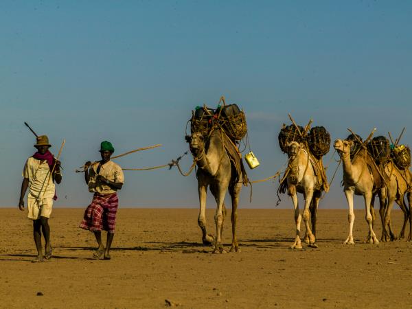 Kenya expedition to Lake Turkana
