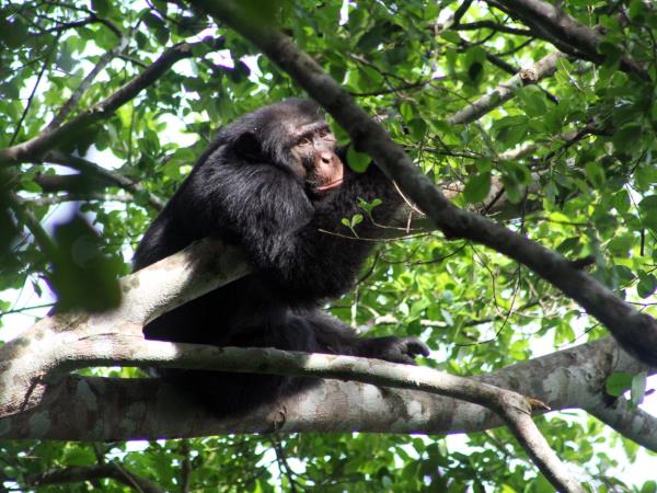 Liberia tours