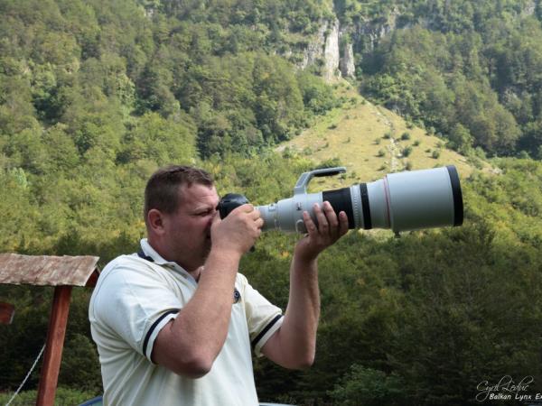Balkan Lynx wildlife conservation holiday in Montenegro