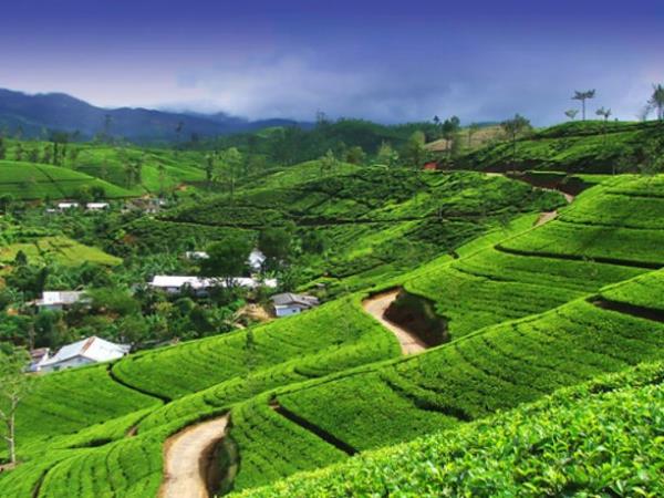 Bhutan, Nepal and Sikkim tour