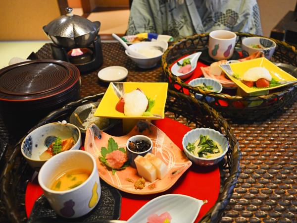 Japan 15 day tour, ancient forts & futuristic cities