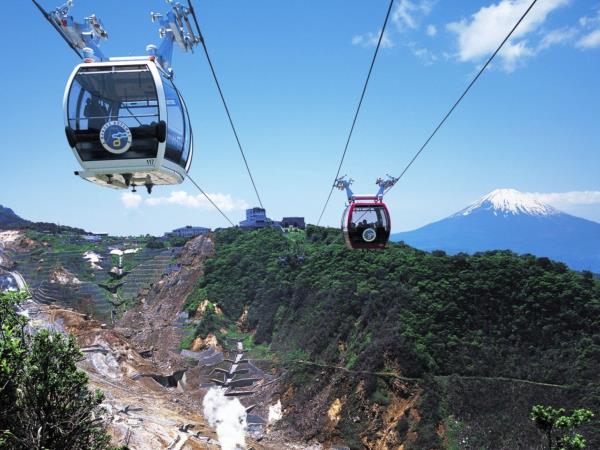 Japan 15 day tour, ancient forts & futuristic cities