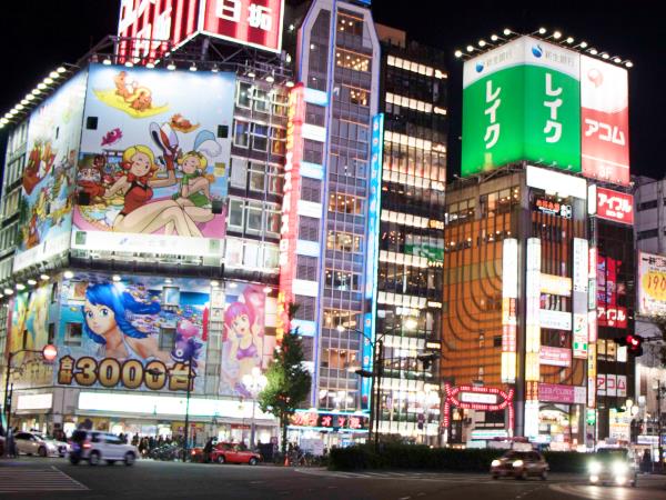 Japan 15 day tour, ancient forts & futuristic cities
