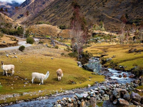 Lares trek to Machu Picchu