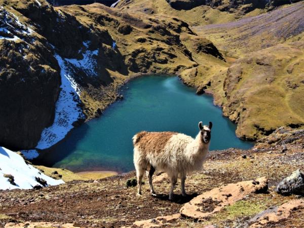 Lares trek to Machu Picchu